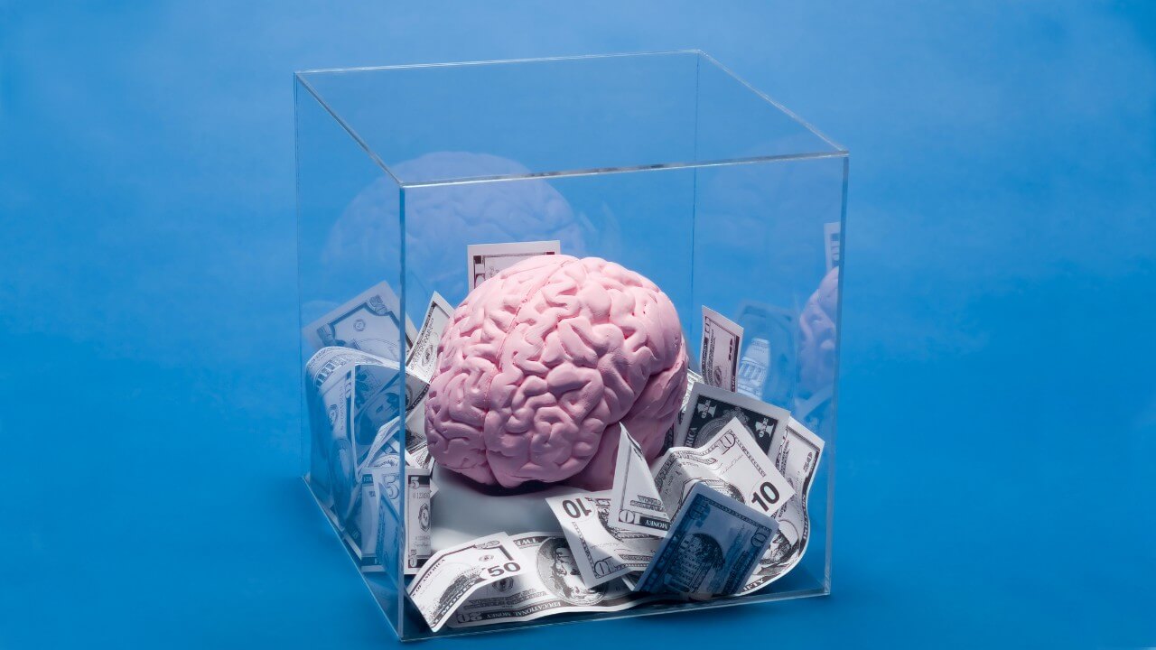 A pink anatomical brain model inside a see-through box, sitting on top of a pile of banknotes.